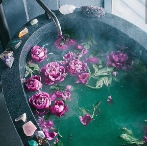 Meet your Posher, Briana